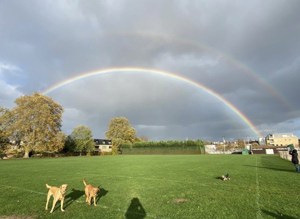 MyWimbledonApp's tweet photo. Double rainbow action today captured by Alphabet Dog Walking 🌈 🌈

📸: https://t.co/kxWgtLd3s5

#Wimbledon #LoveLocal https://t.co/s09MMhrqnM
