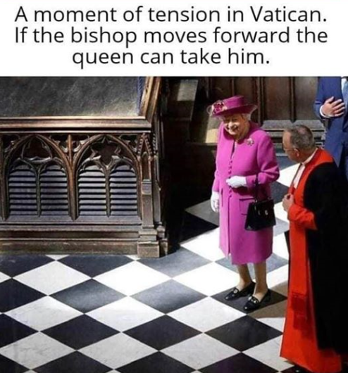 kaitrees's tweet image. 