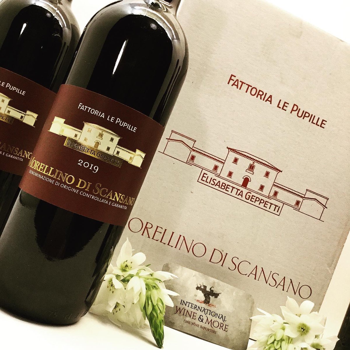 International Wine & More tweet media