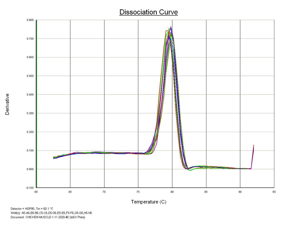 Islam_Saadeldin's tweet image. Perfect dissociation curves for selected primers. #qPCR
#realtimePCR
#curve 
#experiments 
#design 
#Reproductive_Biotechnology_KSU