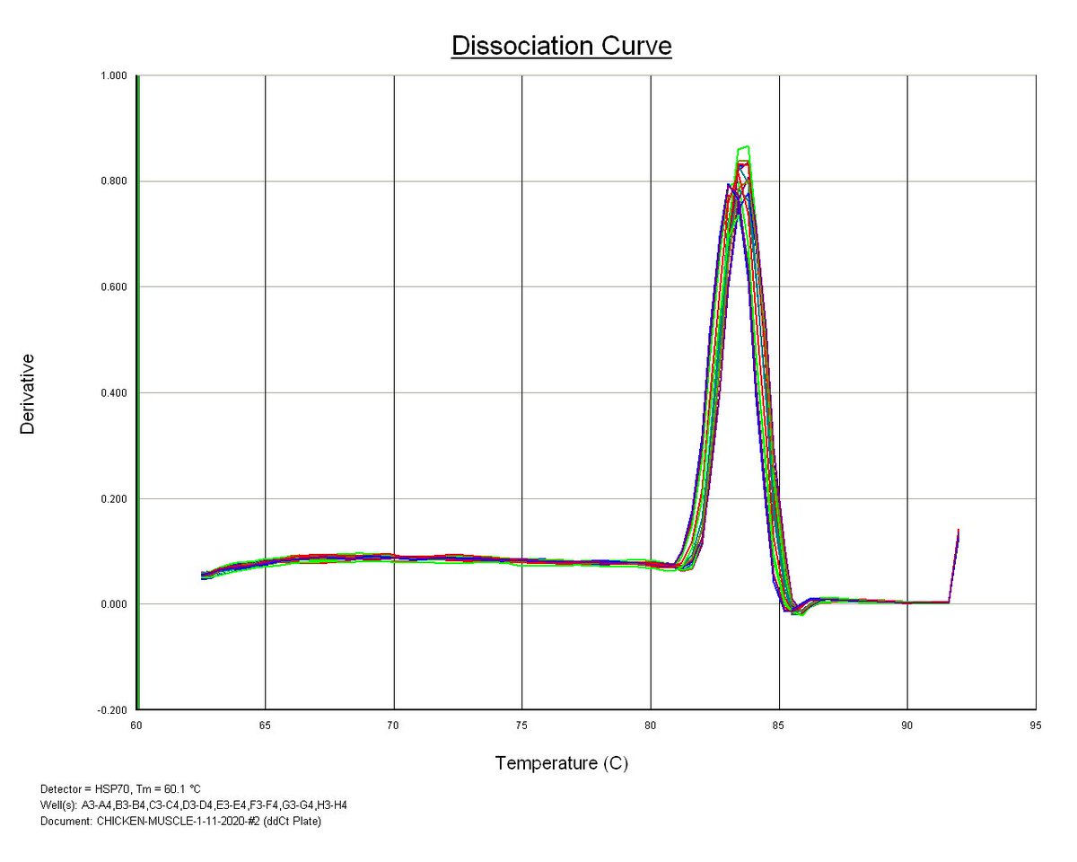 Islam_Saadeldin's tweet image. Perfect dissociation curves for selected primers. #qPCR
#realtimePCR
#curve 
#experiments 
#design 
#Reproductive_Biotechnology_KSU