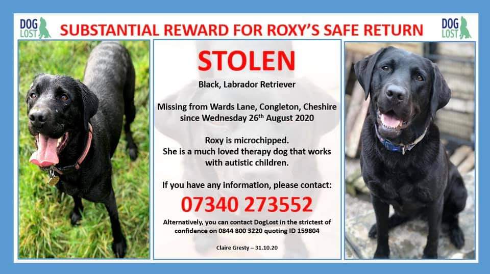 joannew0112's tweet photo. @DaveAndShirley please can everyone keep sharing
Roxy #supportdog is still #missing 😔
She featured on @GranadaReports but still that call hasn't been made 😔
Someone must know something 😔
Dog's don't just vanish 😔
#findroxy #Congleton #Cheshire
https://t.co/6yhCaBz6Gk https://t.co/3boATgtKWo