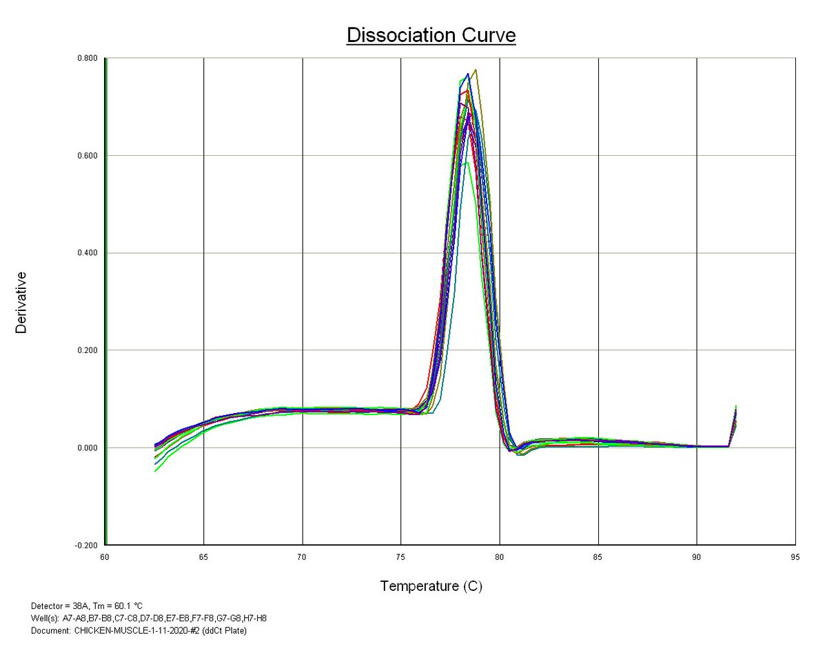 Islam_Saadeldin's tweet image. Perfect dissociation curves for selected primers. #qPCR
#realtimePCR
#curve 
#experiments 
#design 
#Reproductive_Biotechnology_KSU