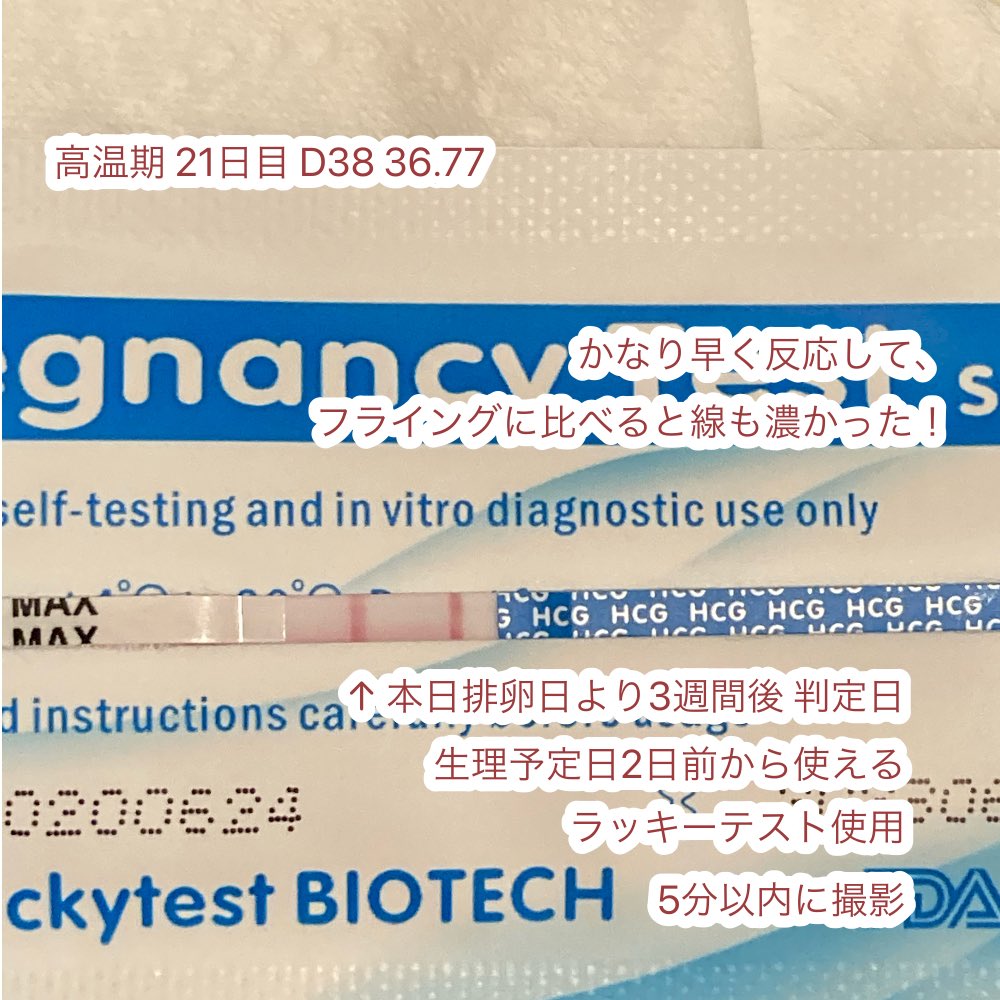 しーな 高温期21日目 D38 36 77 朝イチ検査薬したくて4時に起きてしまった 笑 ドゥーテスト は初めて逆転現象見れました ラッキーテストもかなり濃く反応してくれてホッとしてます W