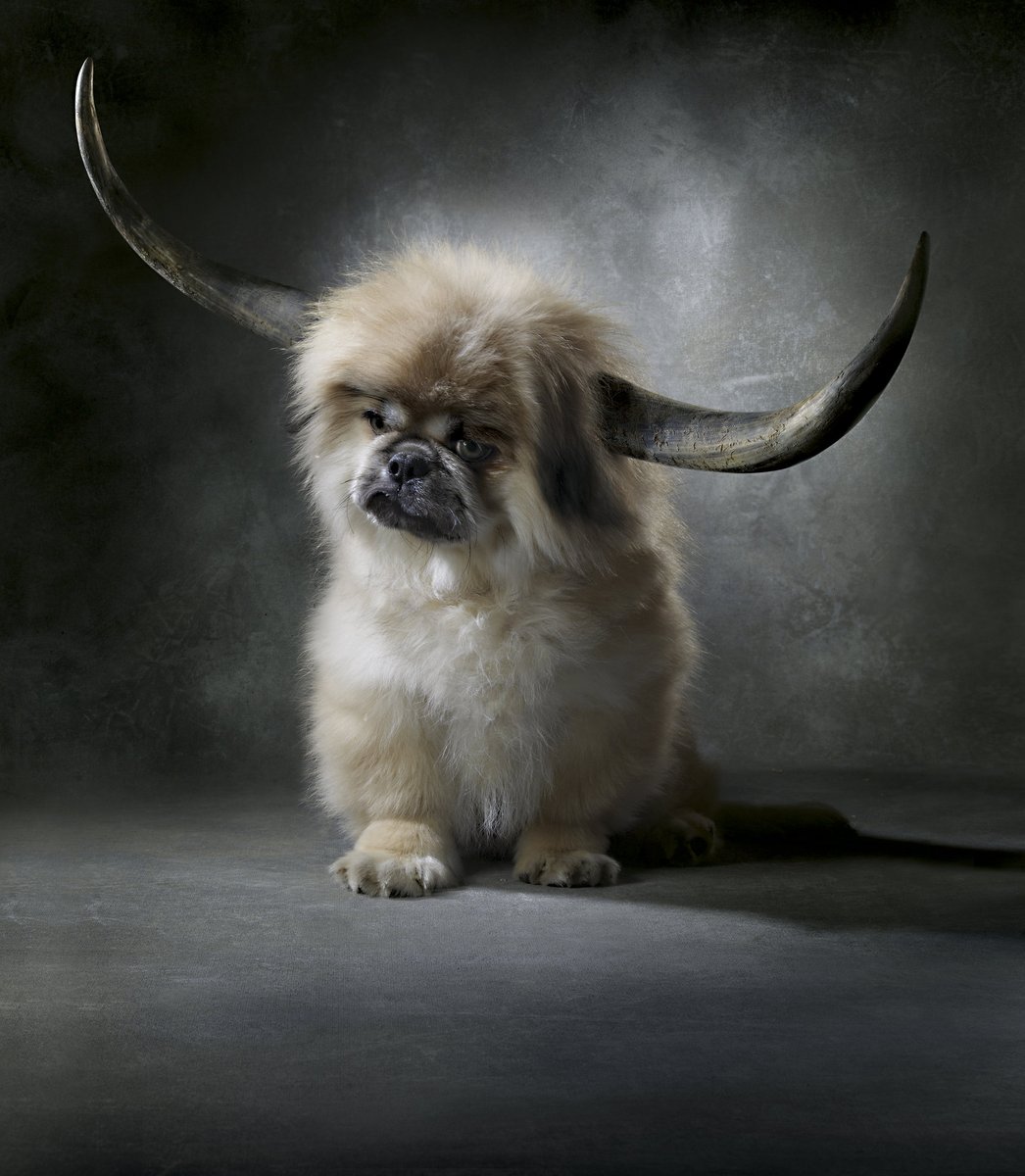 Dripbook tweet media