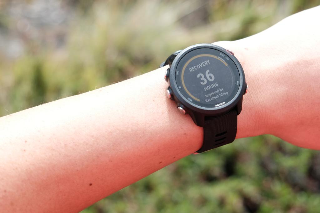Recovery time garmin 245 new arrivals