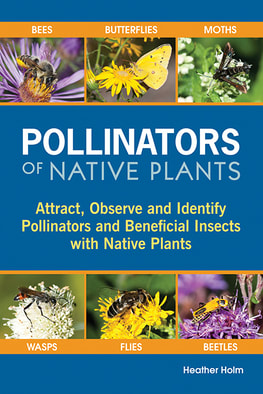 ReformYard's tweet photo. This week we interviewed @BeesNativePlant  about creating the best home landscapes for important pollinators. Listen or read: https://t.co/l9bQtBcr9W

#nativeplants #savethebees #nativebees https://t.co/Ltg3IK2Hea