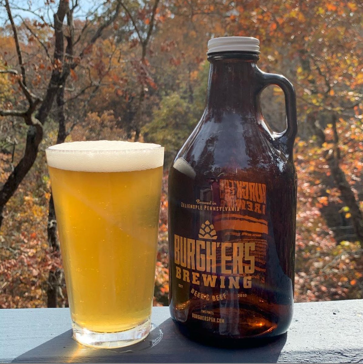 Complete this peaceful Fall day 🍂🍁 with a growler fill & good company🍺  Grab a growler of our new Italian style lager, Coltivare. Coltivare means to cultivate and grow. If 2020 has taught us anything, it's to GROW with the punches and keep on keepin' on. #VoteTomorrow