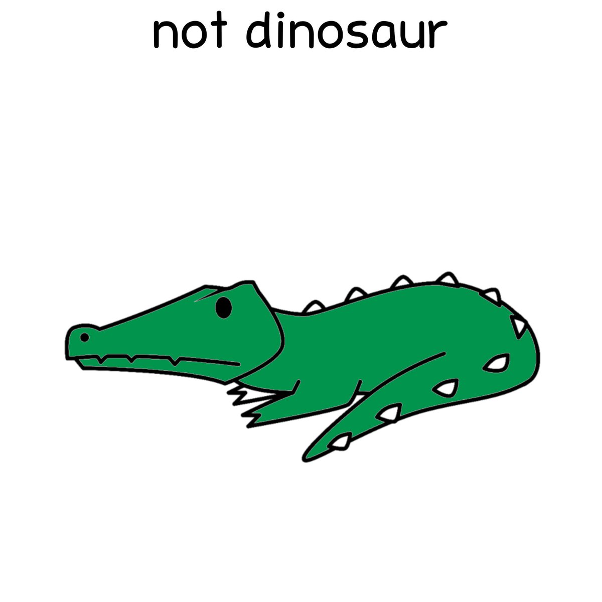 dinosaurcouch's tweet photo. nothing tests my faith in science more than this https://t.co/wd1T2wz0gJ