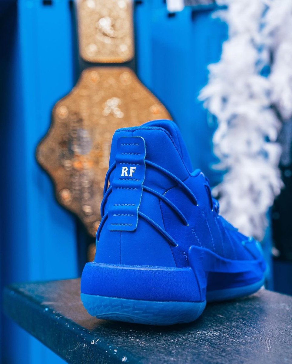 ric flair trainers
