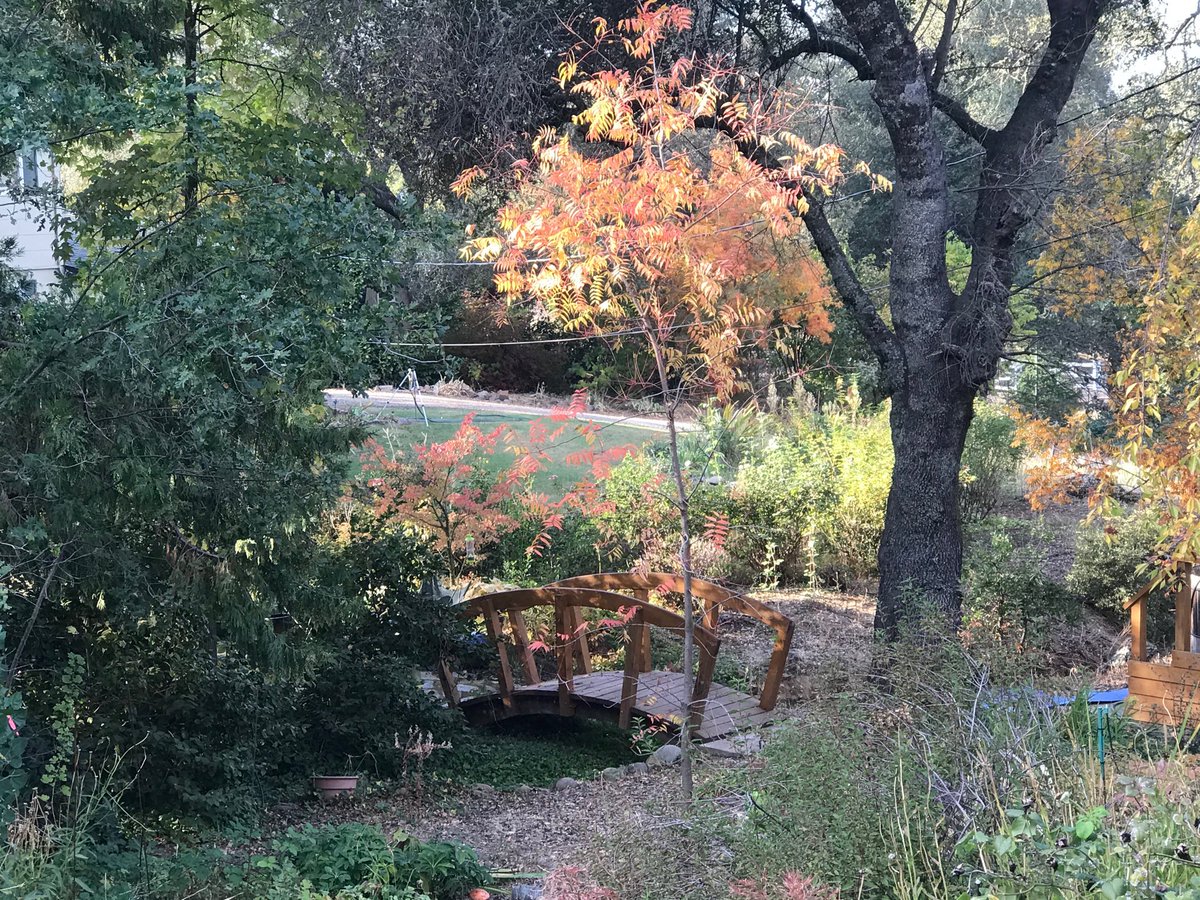 kshall12's tweet photo. Some fall pictures! https://t.co/Dd67aR4d4S
