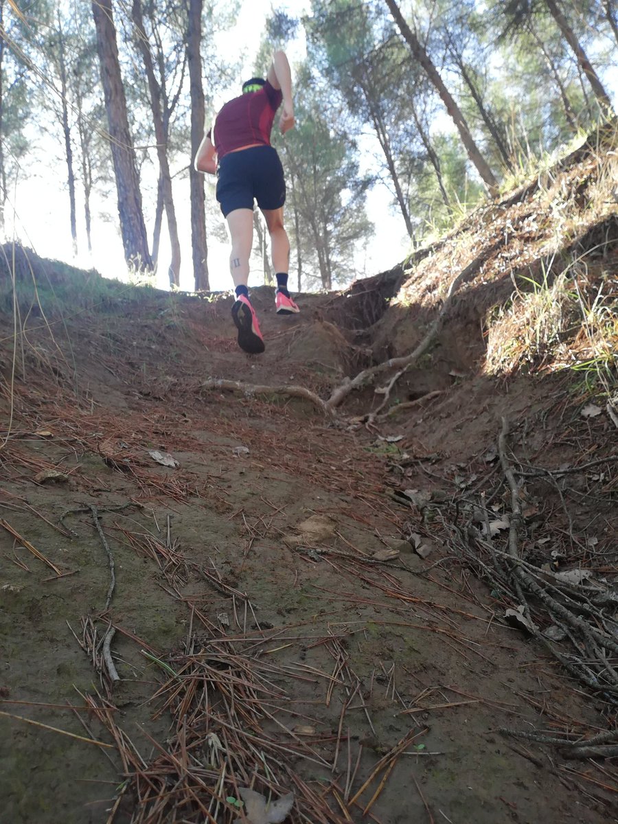 Vamos cogiendo tono poco a poco