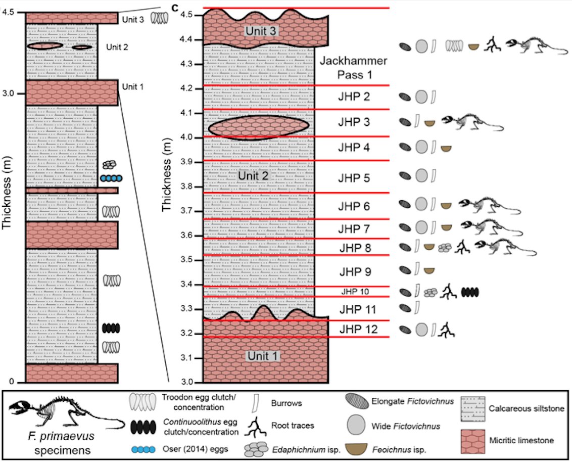 The  #geology and  #taphonomy of the site and fossils indicate that these remains did not accumulate via physical processes (e.g., wind, water, attrition, debris flows) or via predation (e.g., regurgitates, poop). Read the paper for details on this stuff!