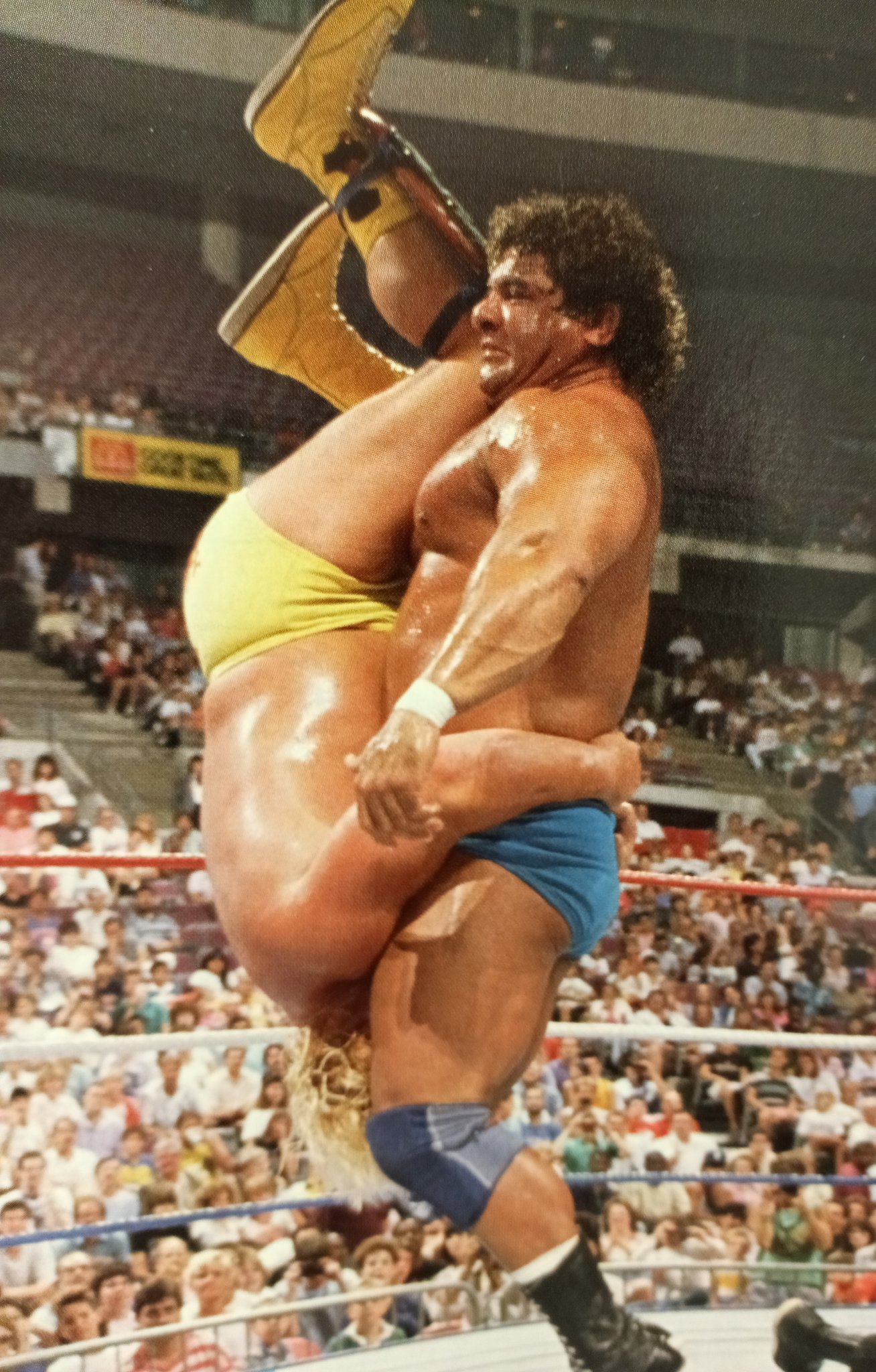 Reverse piledriver - bats.fyi