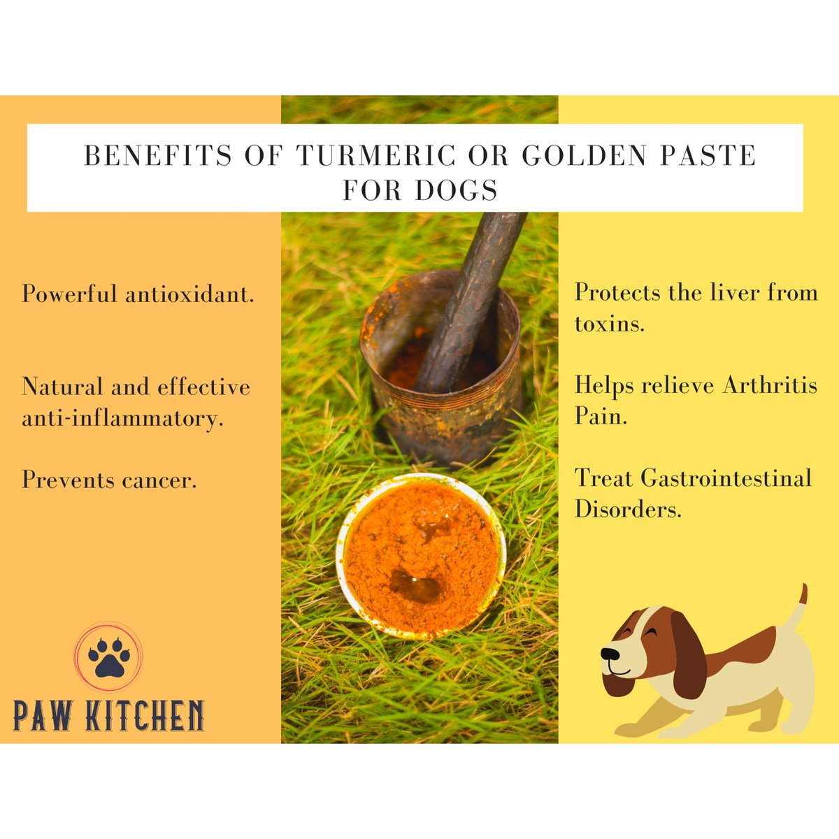 pawkitchen's tweet photo. What if I told you a little spice could make a huge difference in your dog’s health and even his lifespan?

Here are some benefits of turmeric for your dog

#pawkitchen #pawkitchenuae #buildingstrongerfamilies  #dogsofabudhabi #dogsofuae #dogsoftwitter  #turmeric #healthy https://t.co/q78jhQKaHN