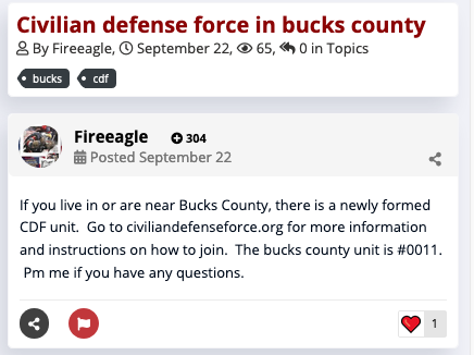 1/ Meet Thomas J. Louden of Pekasie, PA. He’s a volunteer firefighter and Director of Managed Care at  @TJUHospital in Philadelphia.But as “Fireeagle,” he’s the head of the Bucks County Civilian Defense Force militia, and spreads violent, racist, and antisemtic conspiracies.