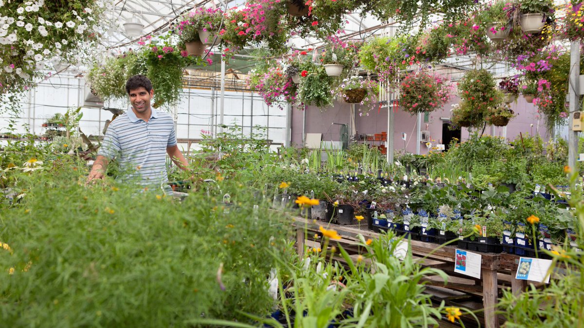 Garden centres staying open will benefit everyone across the country bringing much needed mental and physical benefits as people have to stay at home #SecondLockdown #GardenCentres bit.ly/3jO5hYw