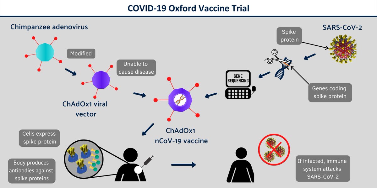 So as you can see there are different methods. Which method is Oxford using? Well they explained it on their own page.They are trying to develop a vaccine using an adenovirus vector platform. No mention of mRNA anywhere.here -  https://covid19vaccinetrial.co.uk/about 