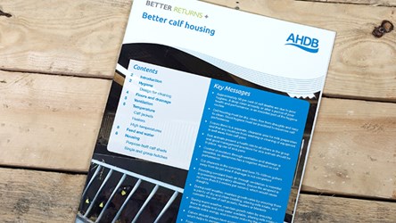 Did you know....a newborn calf will feel cold if temperatures are between 15 and 7 degrees C. If a calf is using energy to keep warm then this can affect growth rates. To find out what you can do when its cold, take a look at our better calf housing guide. ow.ly/l1TL50C776U