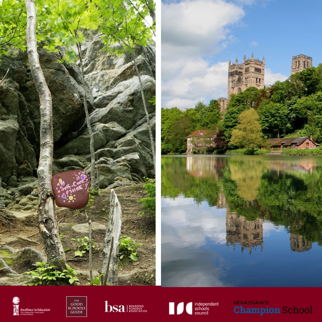 mowden_hall's tweet photo. Another of our #mowdenrocks has started on its journey! Our Self Care rock is now placed by Durham Cathedral for someone to find and reshare.
#mowdenrocks #durham #prepschool #phsee #selfcare @durhamcathedral @GoodSchoolsUK https://t.co/jn3lHlK0Kc