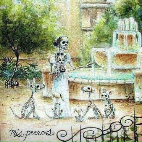 BichosyMascotas's tweet photo. Hola Comunidad:
Celebremos a quienes se nos adelantaron, de cualquier especie.
#Saludogs, https://t.co/ZVoNWVPbwq