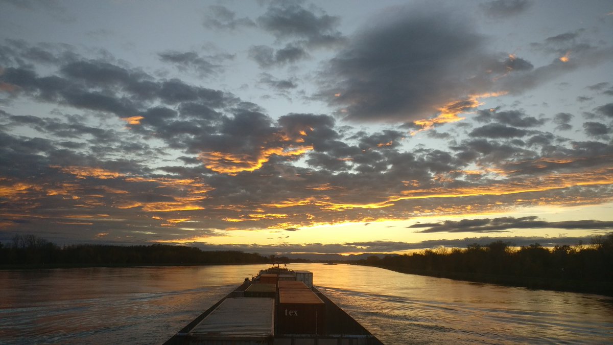 Het mooie van ons beroep #dansercontainerline met de Alsace-Hollande in de bergvaart beneden Rhinau