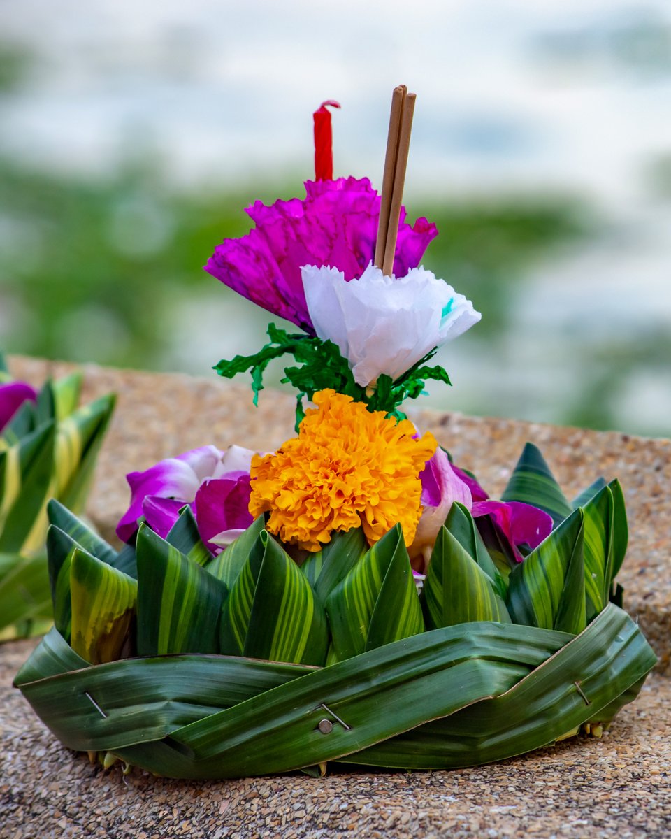 DiscoveringBKK's tweet photo. #LoyKrathongFestival is one of Thailand's most popular festivals celebrated annually on the Twelfth Lunar Month's Full-Moon Day. 

🔗 https://t.co/tHqr2BPaq1

📷  https://t.co/djwV8biA9O

⁣⁣⁣#discoveringbangkok #loykrathongday #fullmoonday #flowersonthewater #lanternfestival https://t.co/JTmxbZXDuh