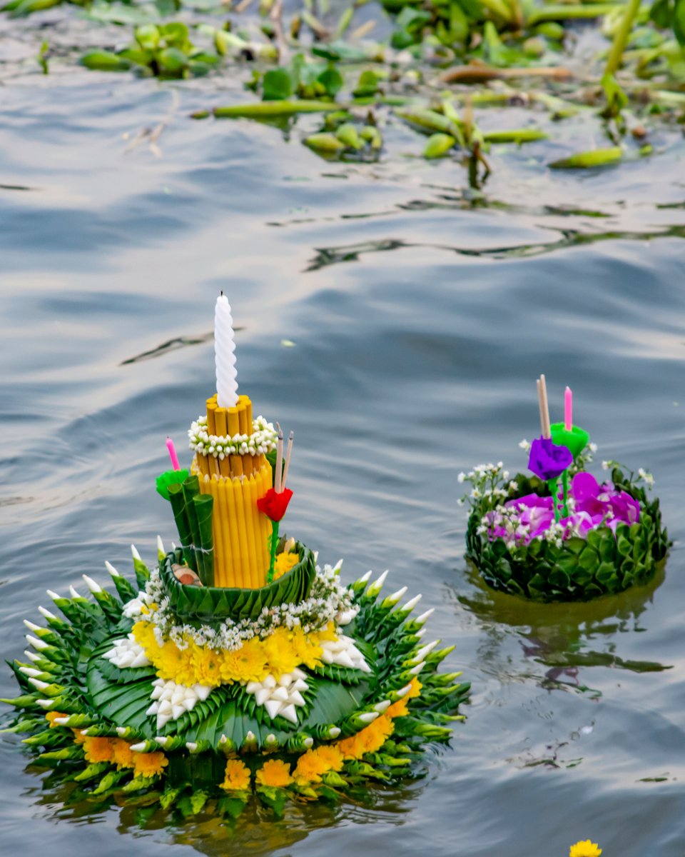 DiscoveringBKK's tweet photo. #LoyKrathongFestival is one of Thailand's most popular festivals celebrated annually on the Twelfth Lunar Month's Full-Moon Day. 

🔗 https://t.co/tHqr2BPaq1

📷  https://t.co/djwV8biA9O

⁣⁣⁣#discoveringbangkok #loykrathongday #fullmoonday #flowersonthewater #lanternfestival https://t.co/JTmxbZXDuh