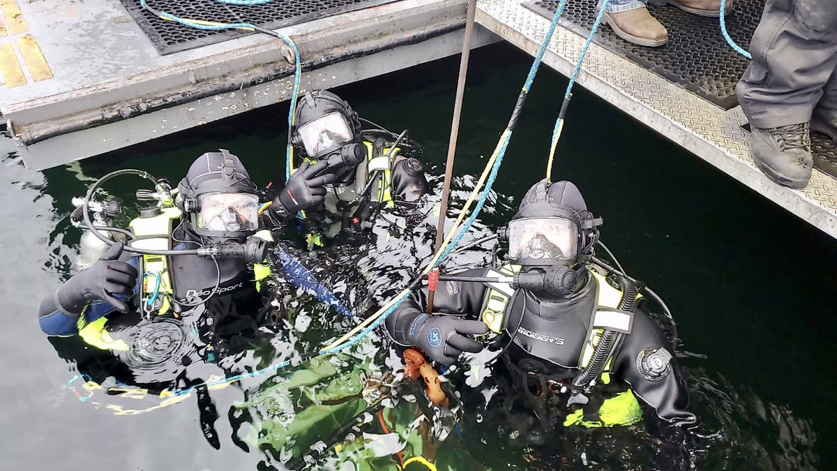 DiversInstitute's tweet photo. 99ft qualifications with full face for scuba on the MV Response. Class 105-20. #ditstudents #diversinstitute #commercialdiving #commercialdiver #underwater #fullface #scuba #veteranownedandoperated #seattle #lakeunion https://t.co/grksMxNrR6