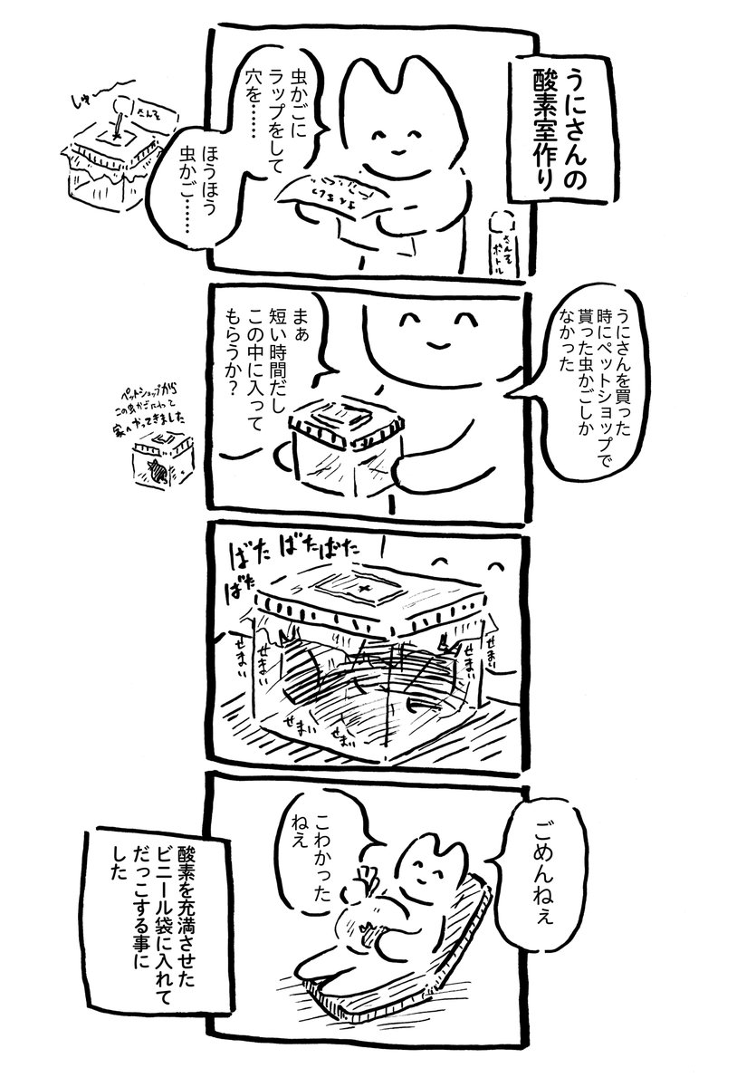 うにさんと私80  #うにさんと私 #創作漫画 #エッセイ漫画 