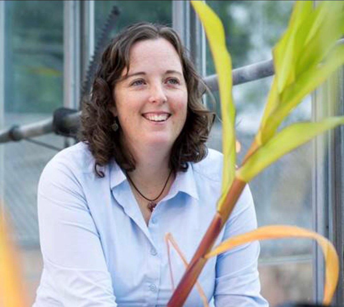 For your lunchtime enjoyment, join us at noon today as we host Dr. Amanda Rasmussen, all the way from the UK: arlab.co.uk She will unlock the mysteries of 'Adventitious root physiology in horticultural crops' Email ddtreadw@ufl.edu for Zoom info.