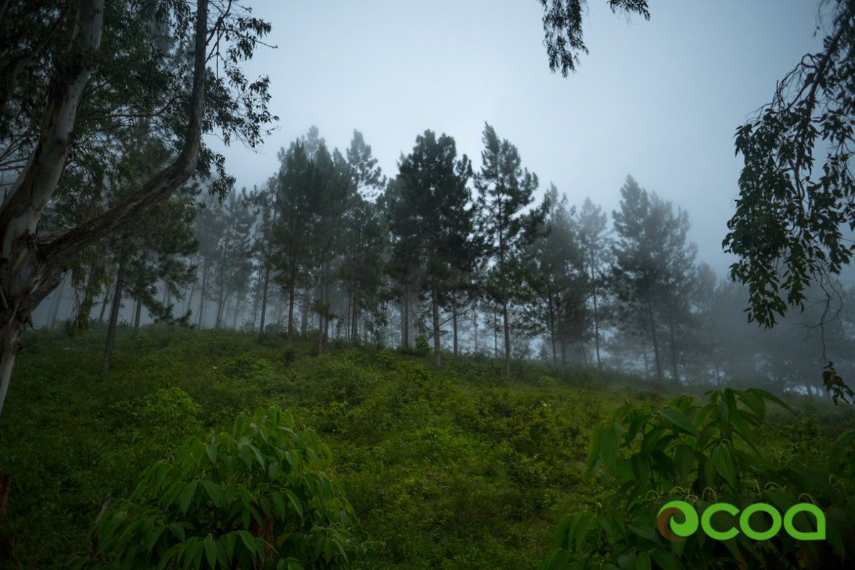 Y así nos recibió el mes de Noviembre. 
#Visitocoa 
#OcoaEsIrresistible 
#OcoaEsParaDescubrirlo
#Ecoturismo 
#Naturalezaviva 
@MTurismoRD <a href="/MFondeprosjo/">Turismo En Ocoa</a> @Milka_Hdez