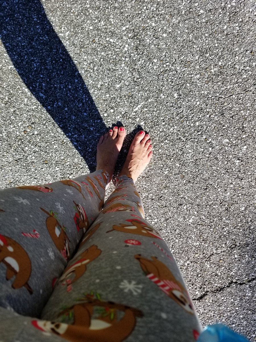 janicej1973's tweet photo. Matching day with mini me! Her off to middle school, me on a 4 mi power walk w/my loyal training partner + my normal back to work Monday mayhem & the joys of small business ownership! Have a beautiful day all. #runchat #fitness #walk #FLrunning #grateful for this weather!๐โค๐ https://t.co/0IMNwXl1tI