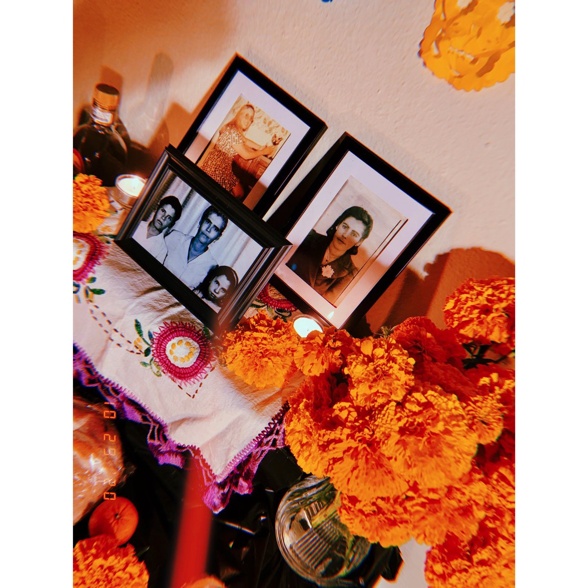 _alemania's tweet photo. Mi casa huele bien rico a cempasúchil y eso me recuerda cuando mi mamá nos llevaba al panteón, a ella le daban miedo las calaveras pero le gustaba mucho la fiesta 💕 https://t.co/IIR5vrZjnM