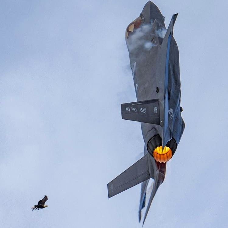 F-35A Demonstration Team tweet media