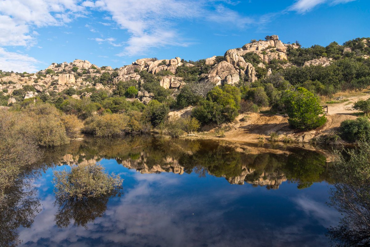 cntorrelodones's tweet photo. Otoño en las charcas de #torrelodones https://t.co/8bC4d5FeXG