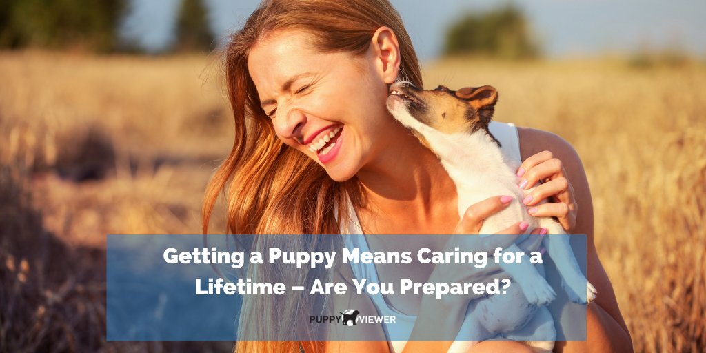 PuppyViewer's tweet photo. Prospective #puppy owners, this blog post is for you! Whether you’re a first-time pet owner or an experienced #puppyparent: are you prepared to provide a lifetime of excellent quality care for your #dog? 🩺❤️ Learn more: https://t.co/X4msSGdaLA https://t.co/K5punoNi2e