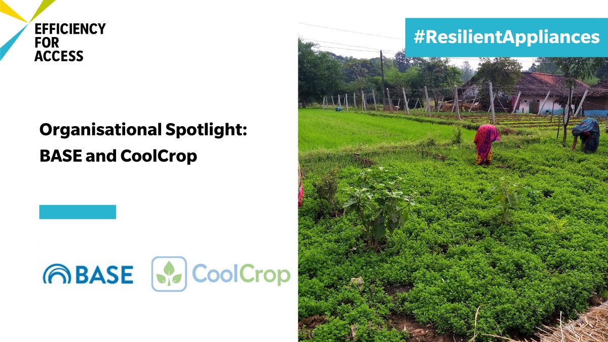 More than 40% of agricultural produce is wasted in India yearly before it reaches consumers. <a href="/coolcroptech/">CoolCrop</a> and <a href="/Energy_BASE/">BASE Foundation</a> are working together to provide efficient and accessible CaaS, via off-grid, solar-powered refrigeration. bit.ly/3e9fZrc #ResilientAppliances