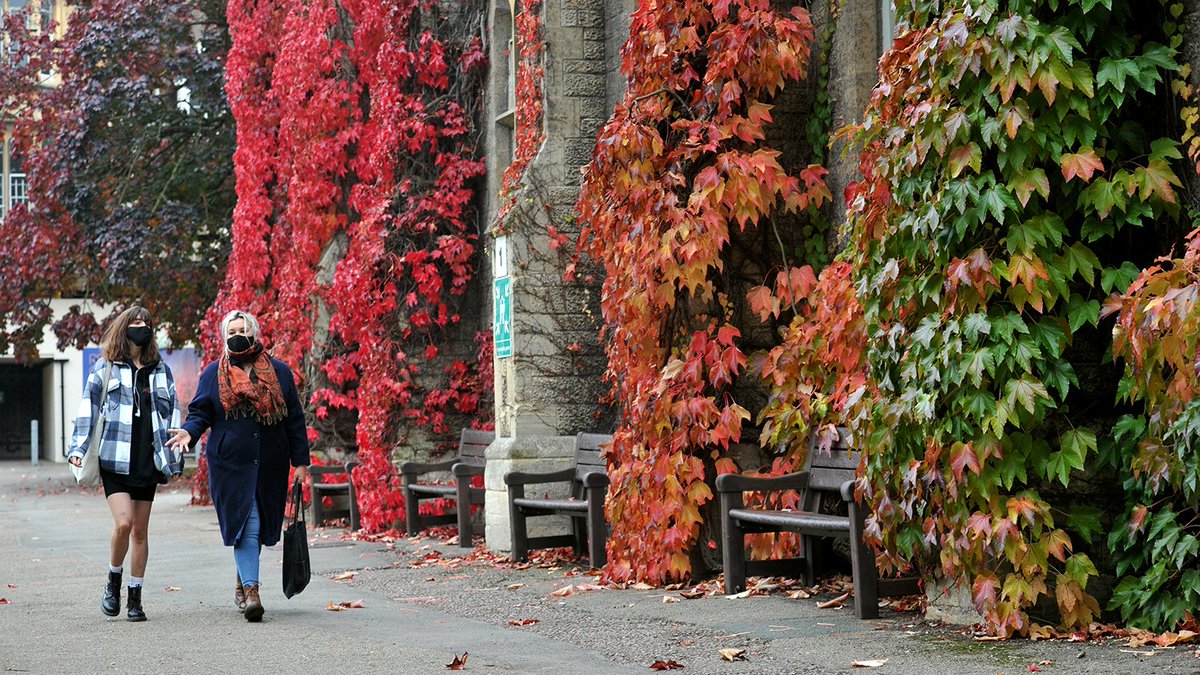We've been pouring through new Government advice today to work out what a national  #lockdown means for university life and for our students. We've sent an email update to staff and students today, but here's a quick round up   @yoursu [Thread 1/9]