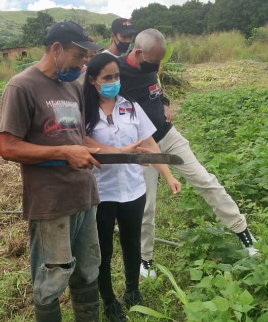 Escuchando cada planteamiento, encontrandonos cara a cara con nuestro pueblo, Hoy realizamos un recorrido con nuestros productores del Sector La Guacamaya del Mcpio. Ribas, caminando junto a ellos afianzamos más aún que #AnteLaGuerraEconomicaProduccionPopular #LosRebeldesSomosMas