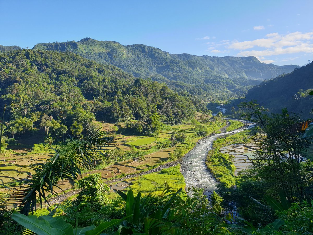 Tanah Air β tweet media