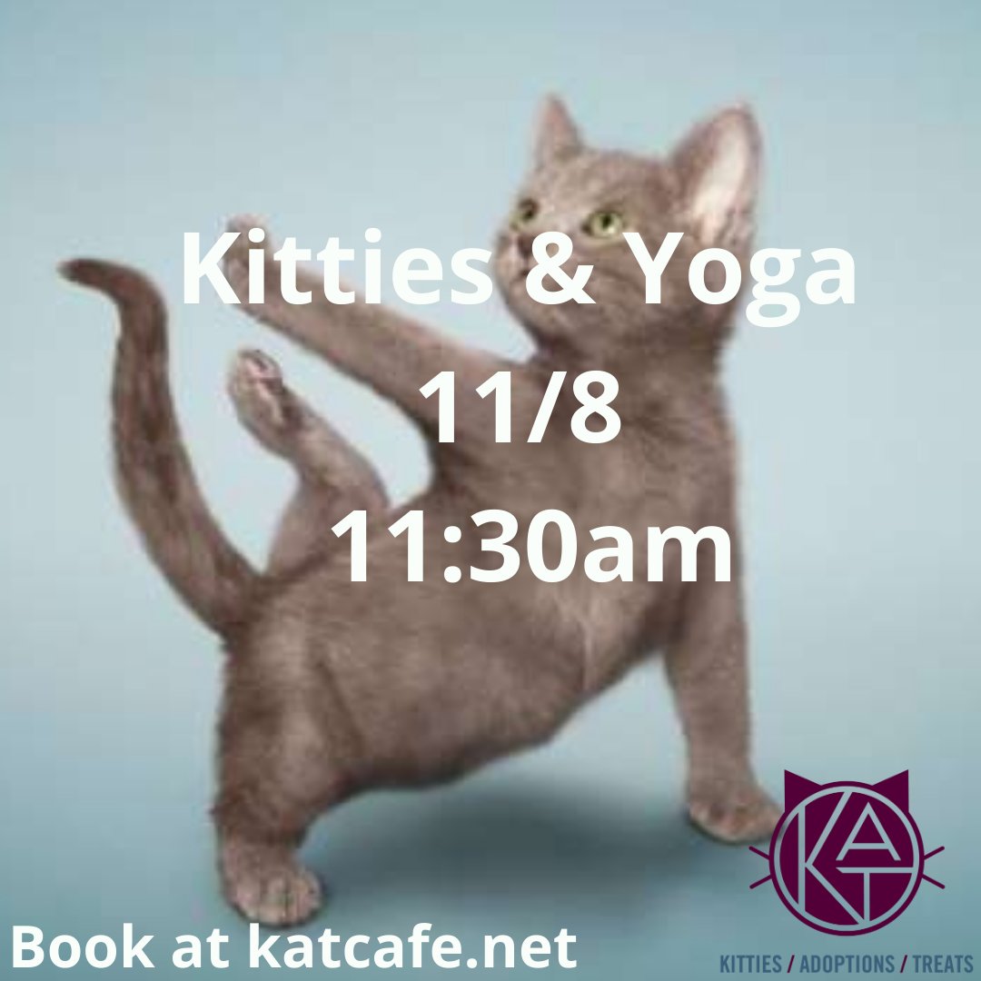 KATCafe2's tweet photo. Cage free kitties and yoga! Visit https://t.co/xsbrTh99fq for reservations!

#catyoga #yoga #cagefree #maryland #cats #CatsOfTwitter #Caturday #flexible #exercise #frederickmd #meow https://t.co/lpGI8jgpKz