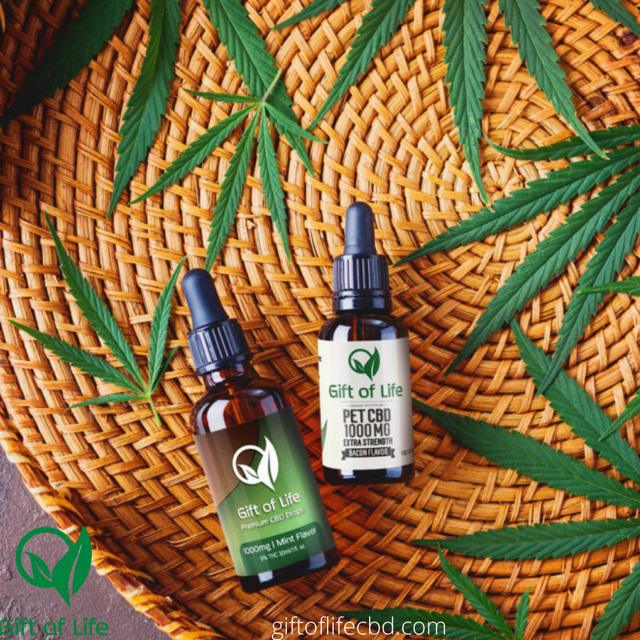 giftoflifecbd's tweet photo. Discover the benefits of #Giftoflife Premium CBD
#CBD #CBDoil #CBDcream #CBDedibles #CBDgummies #FullSpectrumCBDl #CBDproducts #pet #petcbd #vegan #natural #organic #CBDLife #CBDmovement #CBDmodel #CBDheals #CBDhealth #CBDwellness #CBDinfo https://t.co/slywAdn64K