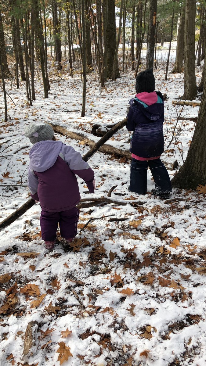 stephenglish1's tweet photo. Beautiful day to be outside. Exploring the forest with snow & looking for tracks #scdsb @AndrewHunterES @RloschRobbie @SCDSBey #scdsboutside https://t.co/8b4xy5wNIX