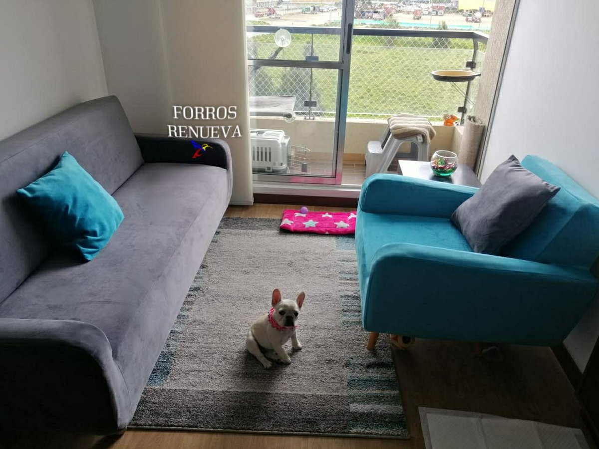 dinpg2's tweet photo. Forros en tela anti rasguños de gato semi impermeable, perfectos para proteger los muebles. https://t.co/ByCcxH7FVO