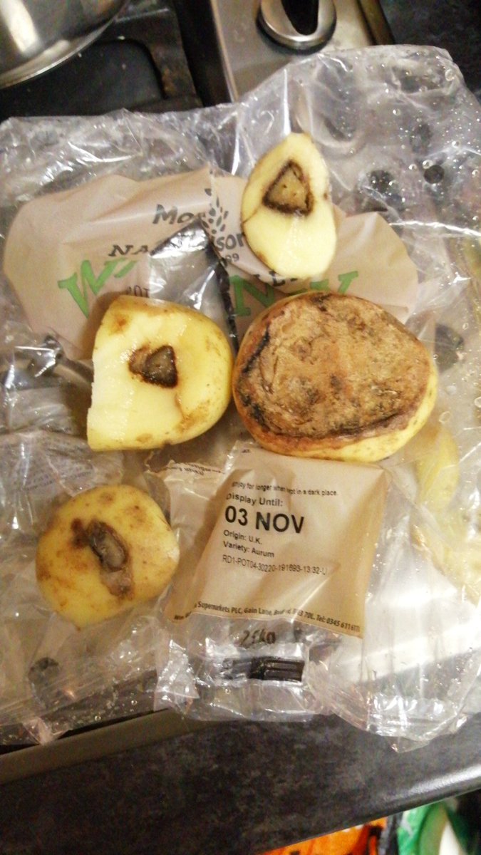 vickisocks's tweet photo. @Morrisons I understand the reasoning behind wonky veg, but I thought it still had to be fit for purpose. Couldn't use the mag of potatoes I bought yesterday 🤮 https://t.co/yOepspmSX7