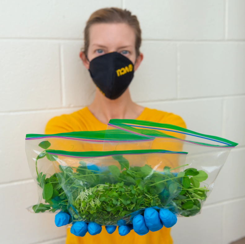 Ever wonder how our microgreens are grown and harvested? Check out these behind the scenes photos of the process!