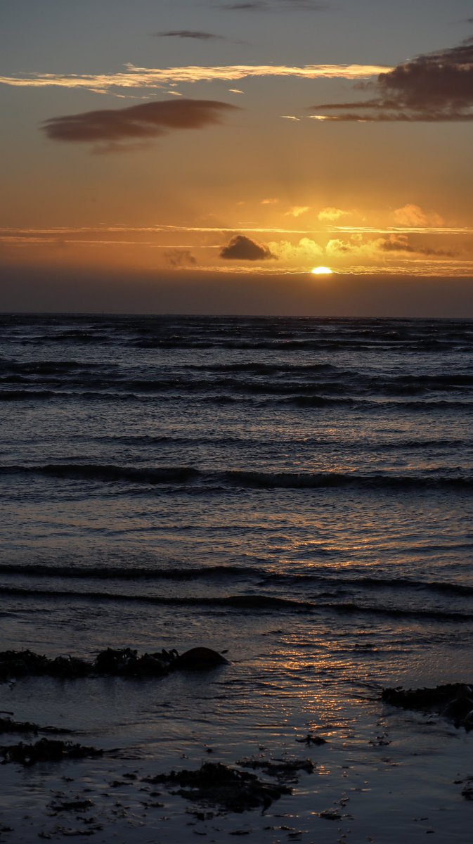 AnnBruen's tweet photo. Sunrise on Bull Island this morning

@AimsirTG4 @ClontarfTimes1 @PhotosOfDublin @LovinDublin @AstronomyIRL @ThePhotoHour @EarthandClouds @LensAreLive @WeatherRTE @deric_tv @VisitDublin @ancienteastIRL @DublinLive @PicPoet @PicPublic @ancienteastIRL @PictureIreland @IrelandB4UDie https://t.co/hAu4NknBGs