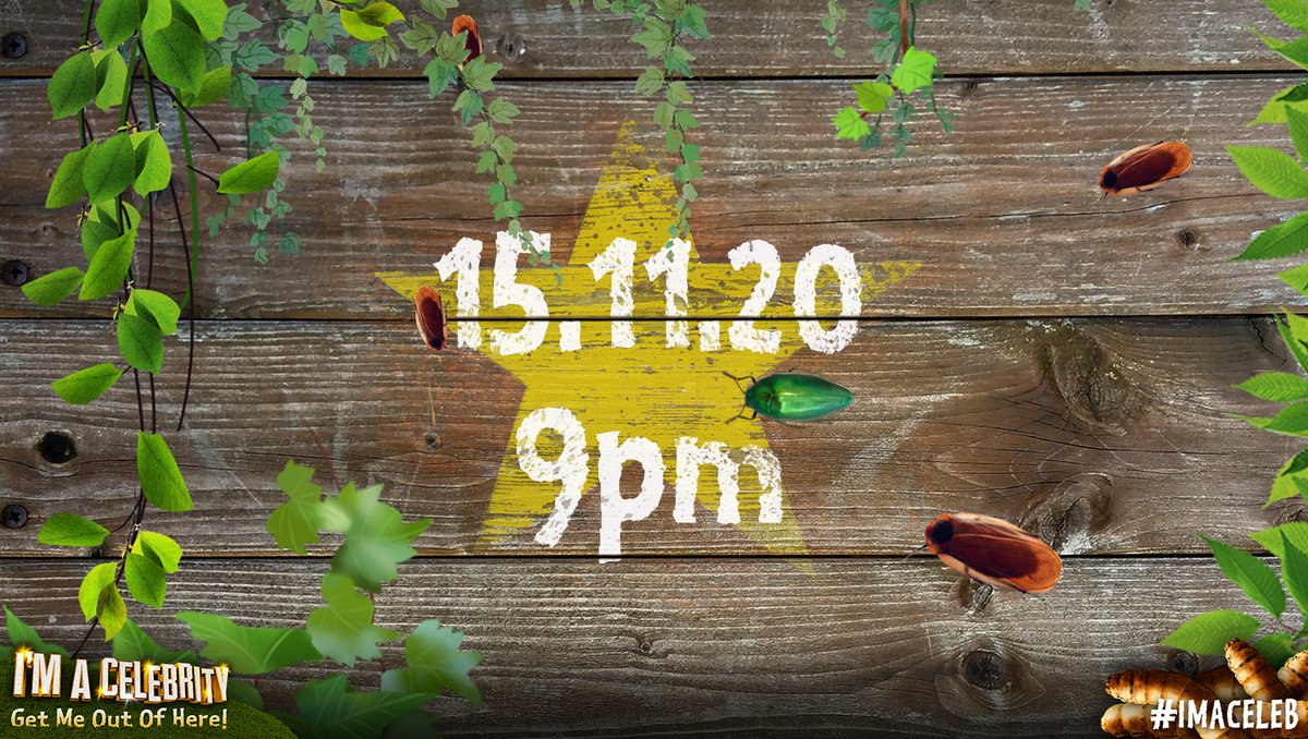 imacelebrity's tweet image. The Castle countdown is on! 🏰🦗 #ImACeleb