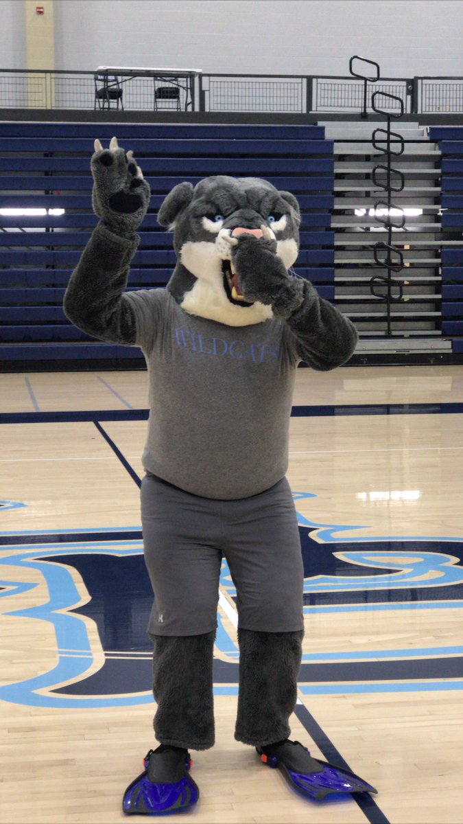 HBHS cheer tweet media